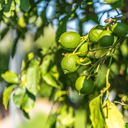 Le Ville Relais Отель 3*